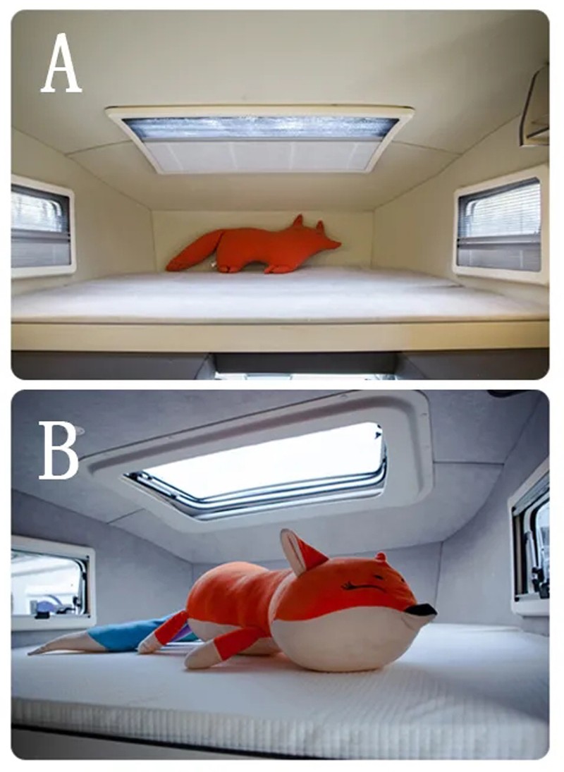 哪款自由炮和您更般配？