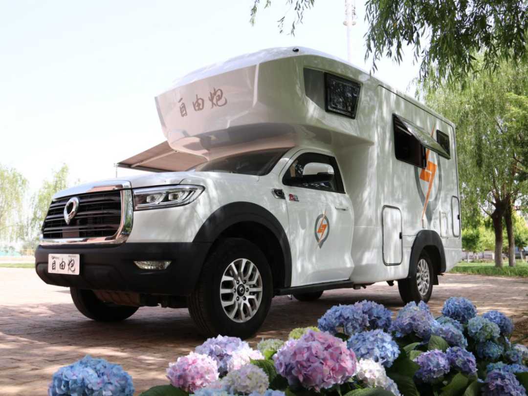 為自由著色！紅、白、藍(lán)、棕，你選哪一種？